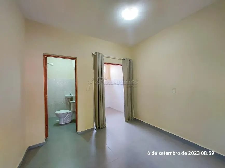 Foto 3 de Casa com 1 quarto para alugar, 34m2 em Itapetininga - SP