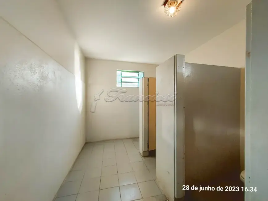 Sala Comercial para alugar, 2811m2 em Vila Novo Horizonte, Itapetininga - SP - imagem 8 Foto 8 de Sala Comercial para alugar, 2811m2 em Vila Novo Horizonte, Itapetininga - SP