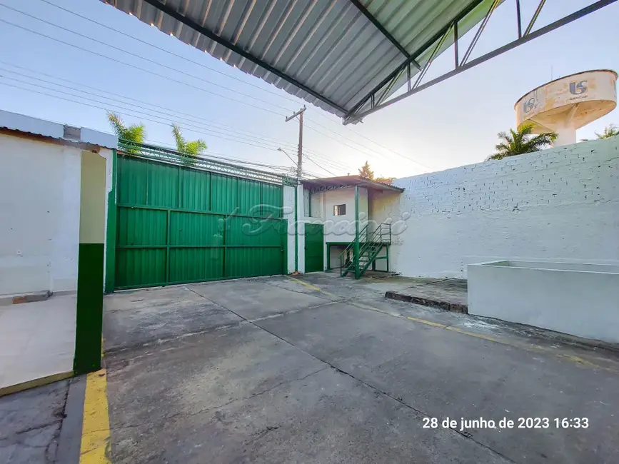 Sala Comercial para alugar, 2811m2 em Vila Novo Horizonte, Itapetininga - SP - imagem 4 Foto 4 de Sala Comercial para alugar, 2811m2 em Vila Novo Horizonte, Itapetininga - SP