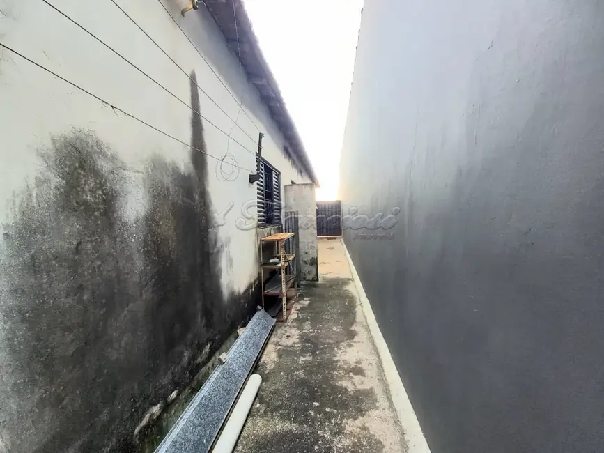 Casa com 2 quartos à venda, 178m2 em Vila Francisca, Itapetininga - SP - imagem 8 Foto 8 de Casa com 2 quartos à venda, 178m2 em Vila Francisca, Itapetininga - SP