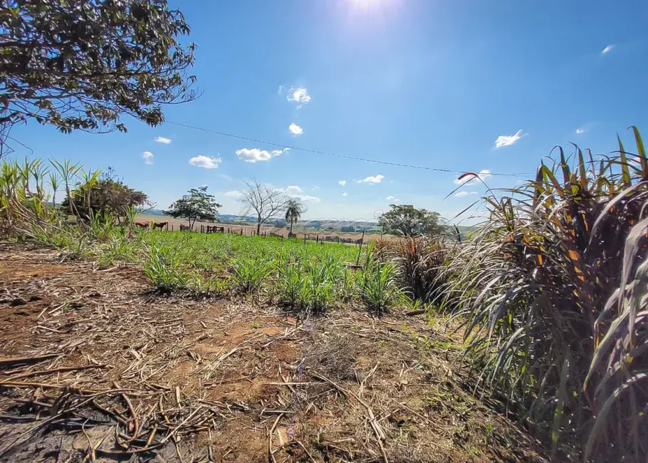 Fazenda / Haras com 5 quartos à venda, 15m2 em Itapetininga - SP - imagem 8 Foto 8 de Fazenda / Haras com 5 quartos à venda, 15m2 em Itapetininga - SP