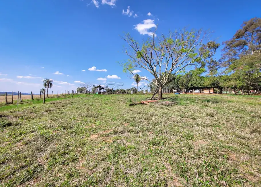 Fazenda / Haras com 5 quartos à venda, 15m2 em Itapetininga - SP - imagem 4 Foto 4 de Fazenda / Haras com 5 quartos à venda, 15m2 em Itapetininga - SP