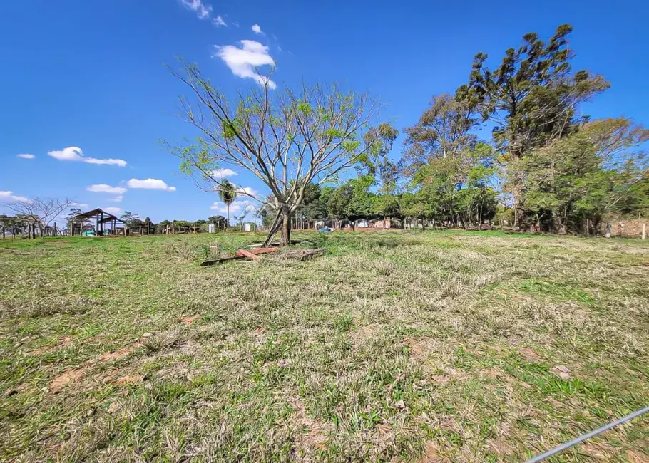 Fazenda / Haras com 5 quartos à venda, 15m2 em Itapetininga - SP - imagem 7 Foto 7 de Fazenda / Haras com 5 quartos à venda, 15m2 em Itapetininga - SP