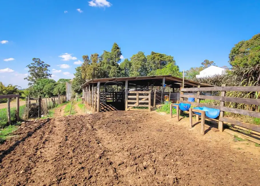 Fazenda / Haras com 5 quartos à venda, 15m2 em Itapetininga - SP - imagem 9 Foto 9 de Fazenda / Haras com 5 quartos à venda, 15m2 em Itapetininga - SP