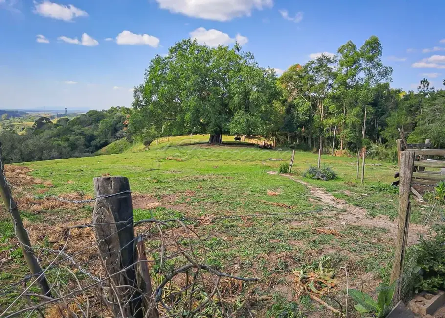 Chácara com 3 quartos à venda, 16171m2 em Chapada Grande, Itapetininga - SP - imagem 9 Foto 9 de Chácara com 3 quartos à venda, 16171m2 em Chapada Grande, Itapetininga - SP
