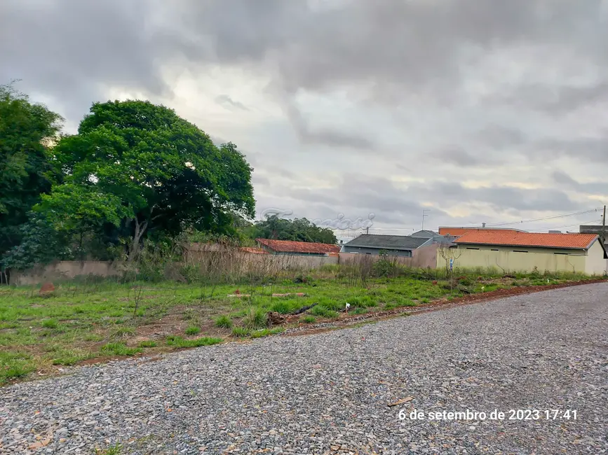 Foto 4 de Fazenda / Haras à venda, 1056m2 em Vila Carolina, Itapetininga - SP