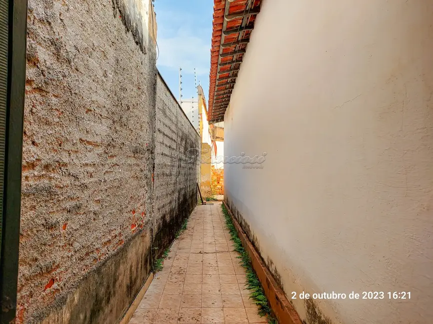 Foto 9 de Casa com 2 quartos para alugar, 125m2 em Centro, Itapetininga - SP