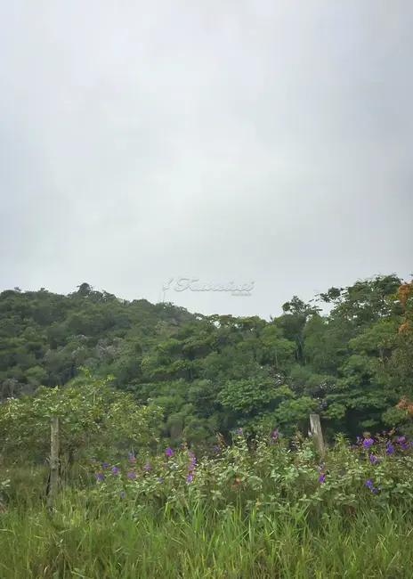Foto 3 de Fazenda / Haras à venda, 16777215m2 em Juquia - SP