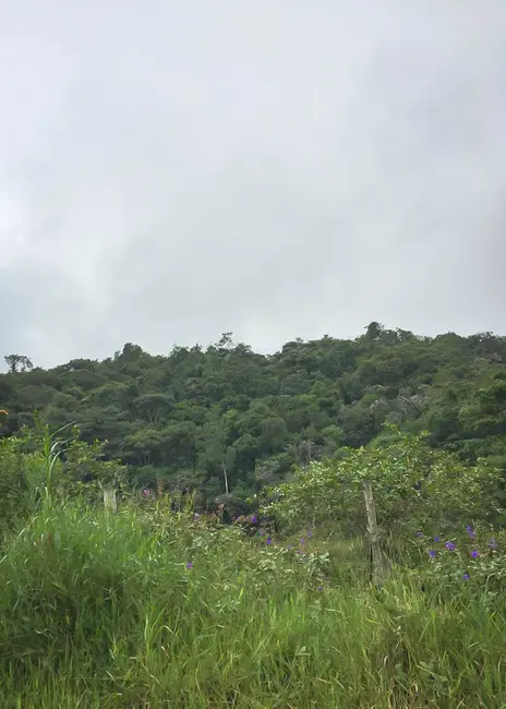 Foto 4 de Fazenda / Haras à venda, 16777215m2 em Juquia - SP
