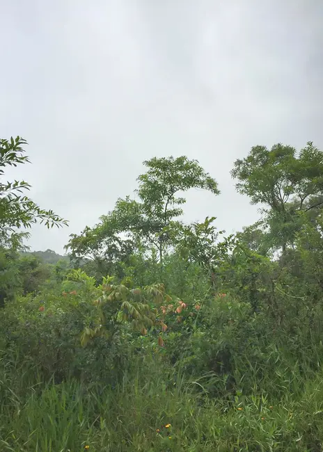 Foto 1 de Fazenda / Haras à venda, 16777215m2 em Juquia - SP