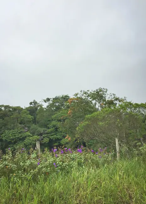 Foto 2 de Fazenda / Haras à venda, 16777215m2 em Juquia - SP