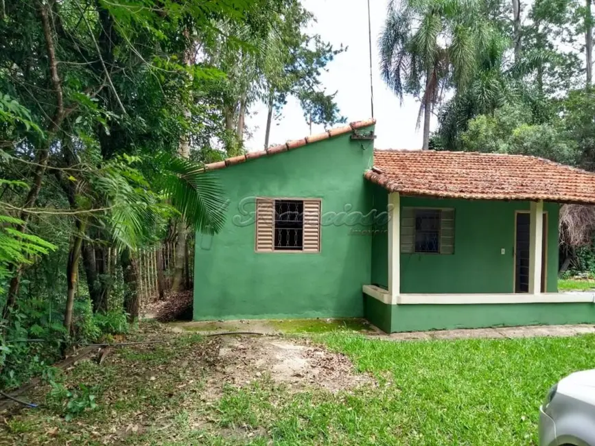 Fazenda / Haras com 3 quartos à venda, 6400m2 em Itapetininga - SP - imagem 3 Foto 3 de Fazenda / Haras com 3 quartos à venda, 6400m2 em Itapetininga - SP