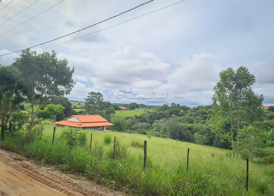 Foto 3 de Fazenda / Haras à venda, 2000m2 em Itapetininga - SP