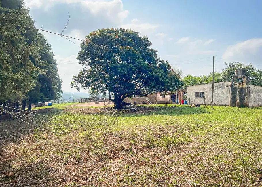 Foto 1 de Fazenda / Haras à venda, 145200m2 em Itapetininga - SP