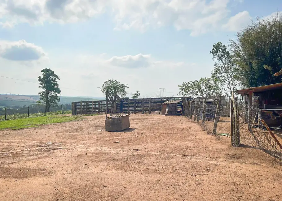 Fazenda / Haras à venda, 145200m2 em Itapetininga - SP - imagem 7 Foto 7 de Fazenda / Haras à venda, 145200m2 em Itapetininga - SP