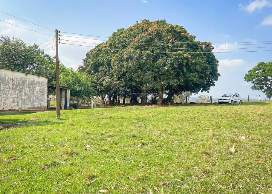 Foto 2 de Fazenda / Haras à venda, 145200m2 em Itapetininga - SP