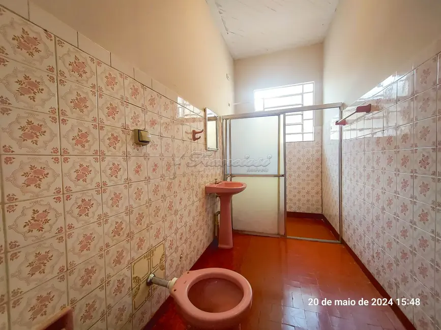Casa com 3 quartos à venda, 90m2 em Centro, Itapetininga - SP - imagem 6 Foto 6 de Casa com 3 quartos à venda, 90m2 em Centro, Itapetininga - SP