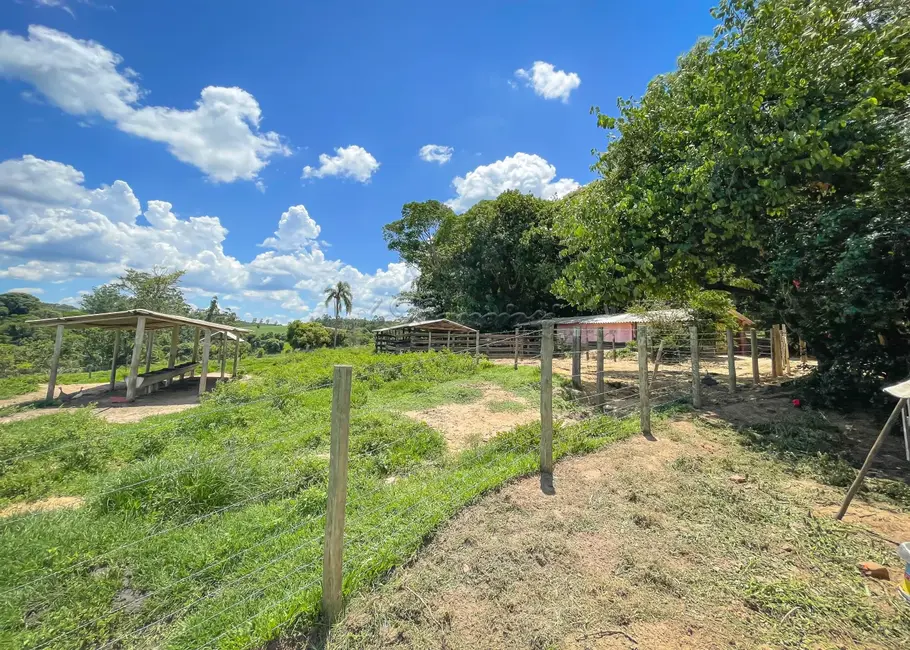 Foto 16 de Fazenda / Haras com 5 quartos à venda, 16777215m2 em Itapetininga - SP
