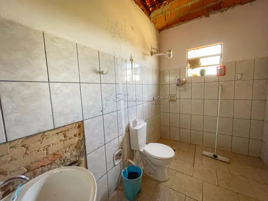 Foto 11 de Fazenda / Haras com 5 quartos à venda, 16777215m2 em Itapetininga - SP