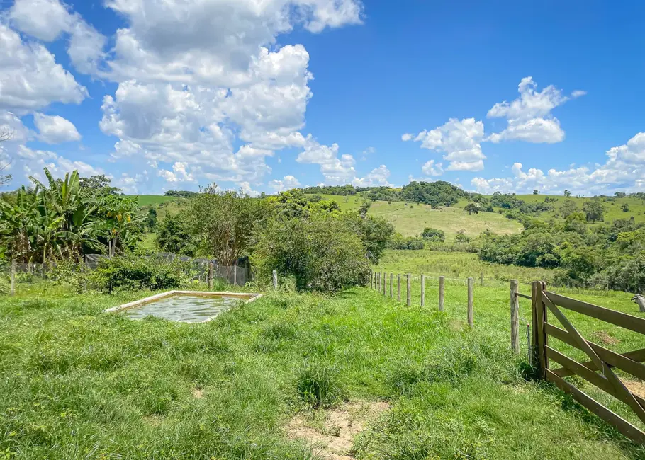 Fazenda / Haras com 5 quartos à venda, 16777215m2 em Itapetininga - SP - imagem 6 Foto 6 de Fazenda / Haras com 5 quartos à venda, 16777215m2 em Itapetininga - SP