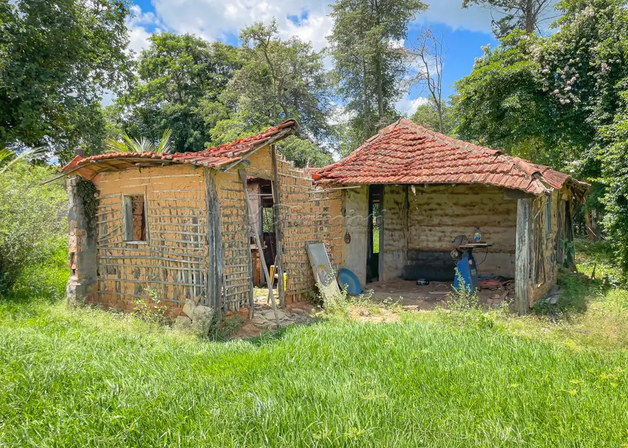Foto 26 de Fazenda / Haras com 5 quartos à venda, 16777215m2 em Itapetininga - SP