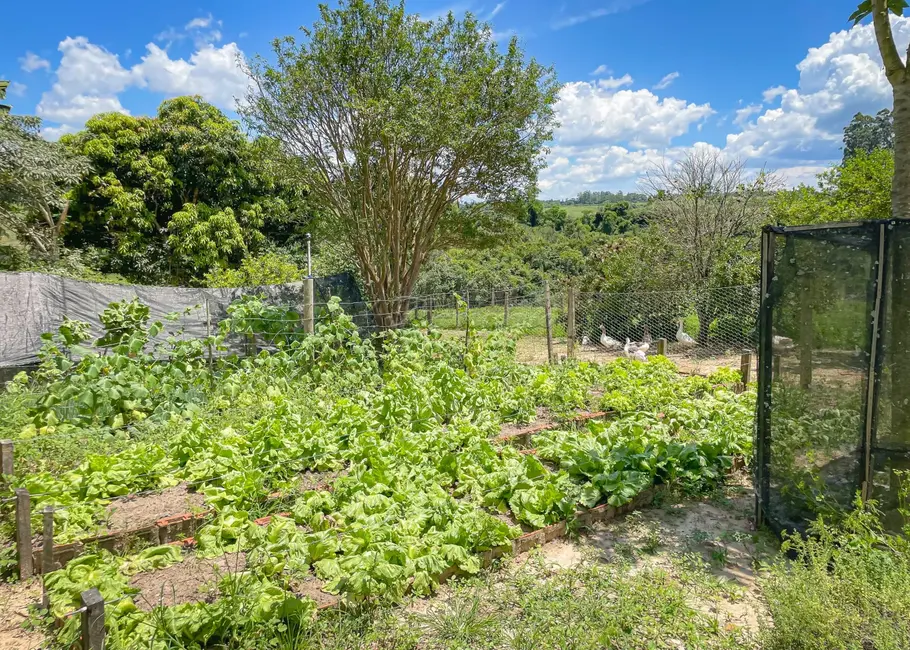 Foto 18 de Fazenda / Haras com 5 quartos à venda, 16777215m2 em Itapetininga - SP