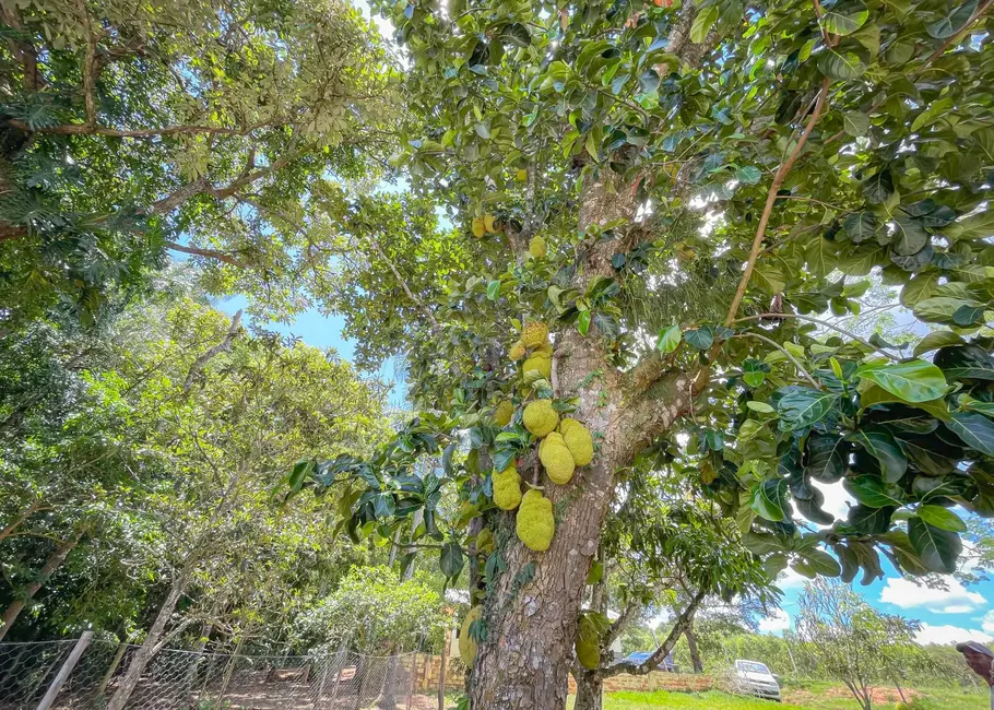 Foto 30 de Fazenda / Haras com 5 quartos à venda, 16777215m2 em Itapetininga - SP