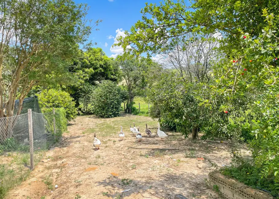 Foto 19 de Fazenda / Haras com 5 quartos à venda, 16777215m2 em Itapetininga - SP