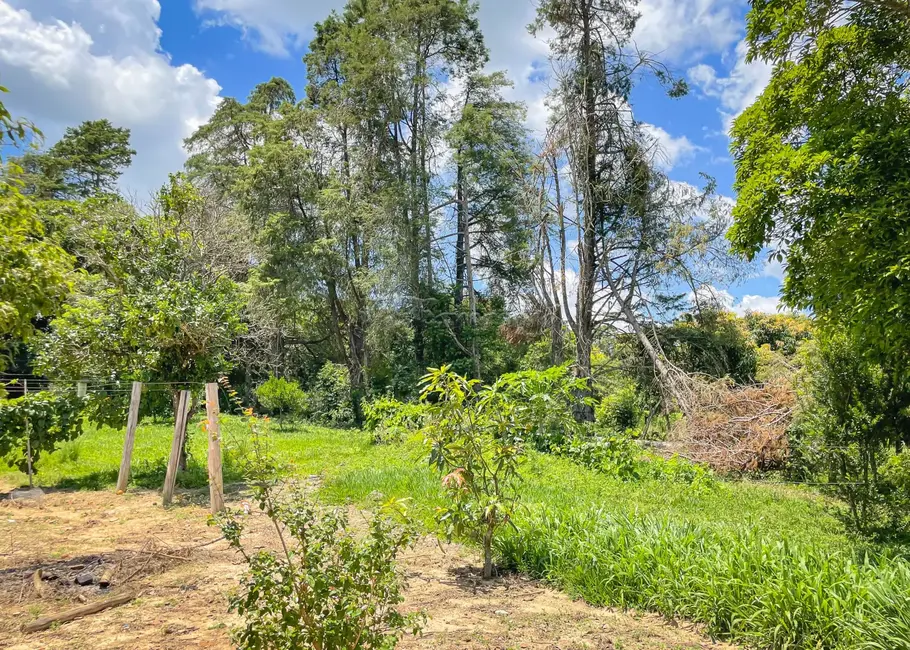Foto 25 de Fazenda / Haras com 5 quartos à venda, 16777215m2 em Itapetininga - SP