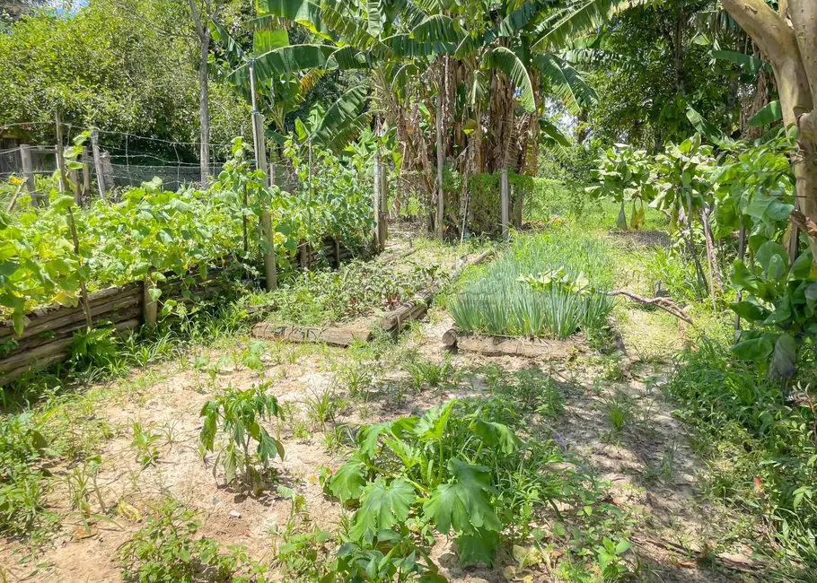 Foto 22 de Fazenda / Haras com 5 quartos à venda, 16777215m2 em Itapetininga - SP