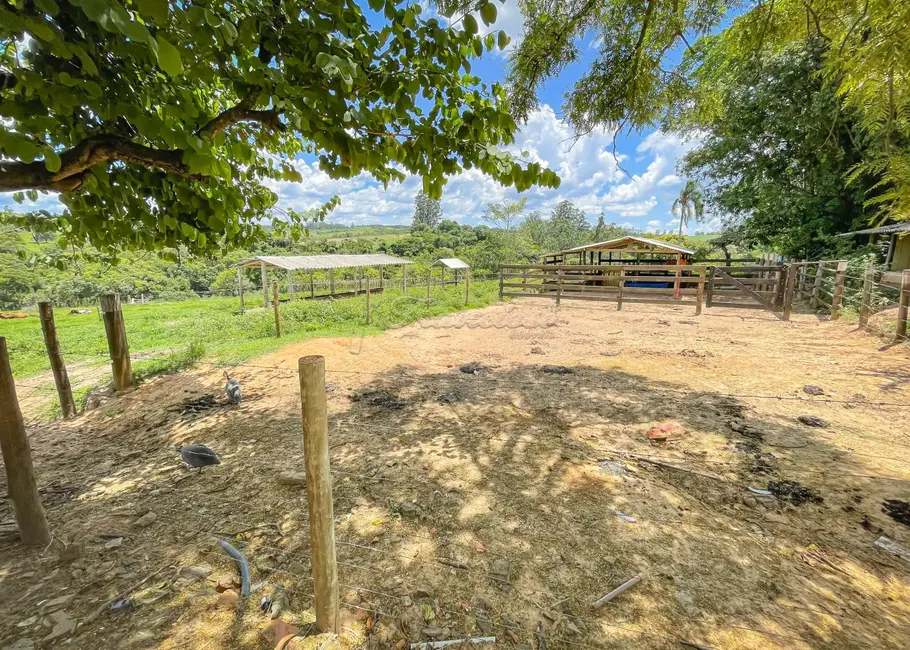 Foto 28 de Fazenda / Haras com 5 quartos à venda, 16777215m2 em Itapetininga - SP