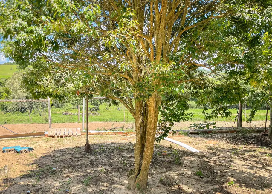 Foto 23 de Fazenda / Haras com 5 quartos à venda, 16777215m2 em Itapetininga - SP