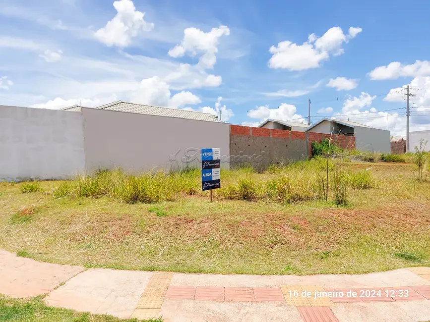 Fazenda / Haras à venda, 285m2 em Itapetininga - SP - imagem 2 Foto 2 de Fazenda / Haras à venda, 285m2 em Itapetininga - SP