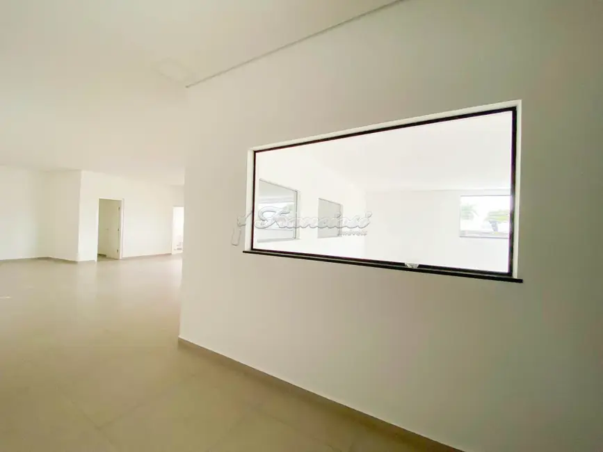 Sala Comercial para alugar, 480m2 em Vila Aparecida, Itapetininga - SP - imagem 5 Foto 5 de Sala Comercial para alugar, 480m2 em Vila Aparecida, Itapetininga - SP