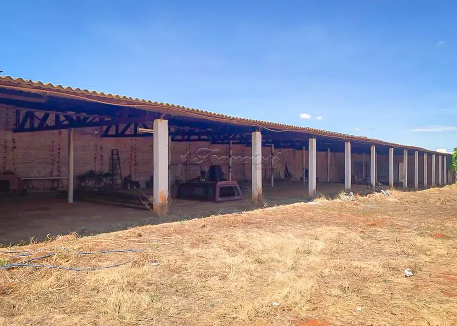 Foto 4 de Fazenda / Haras à venda, 2400m2 em Vila Carolina, Itapetininga - SP