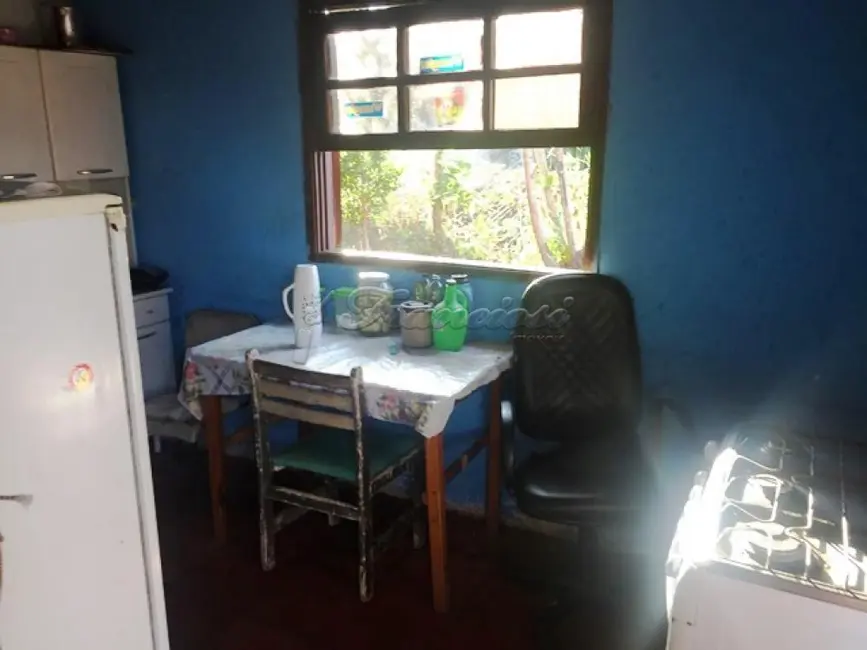 Casa com 4 quartos à venda, 2000m2 em Chapada Grande, Itapetininga - SP - imagem 5 Foto 5 de Casa com 4 quartos à venda, 2000m2 em Chapada Grande, Itapetininga - SP