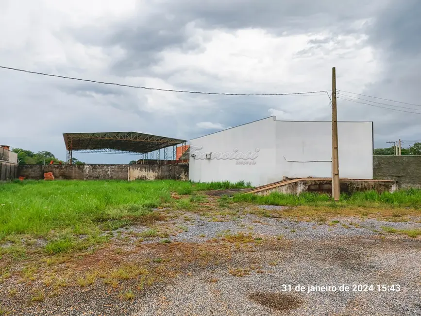 Sala Comercial para alugar, 2248m2 em Vila Asem, Itapetininga - SP - imagem 6 Foto 6 de Sala Comercial para alugar, 2248m2 em Vila Asem, Itapetininga - SP