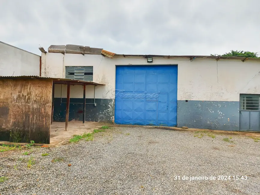 Sala Comercial para alugar, 2248m2 em Vila Asem, Itapetininga - SP - imagem 8 Foto 8 de Sala Comercial para alugar, 2248m2 em Vila Asem, Itapetininga - SP