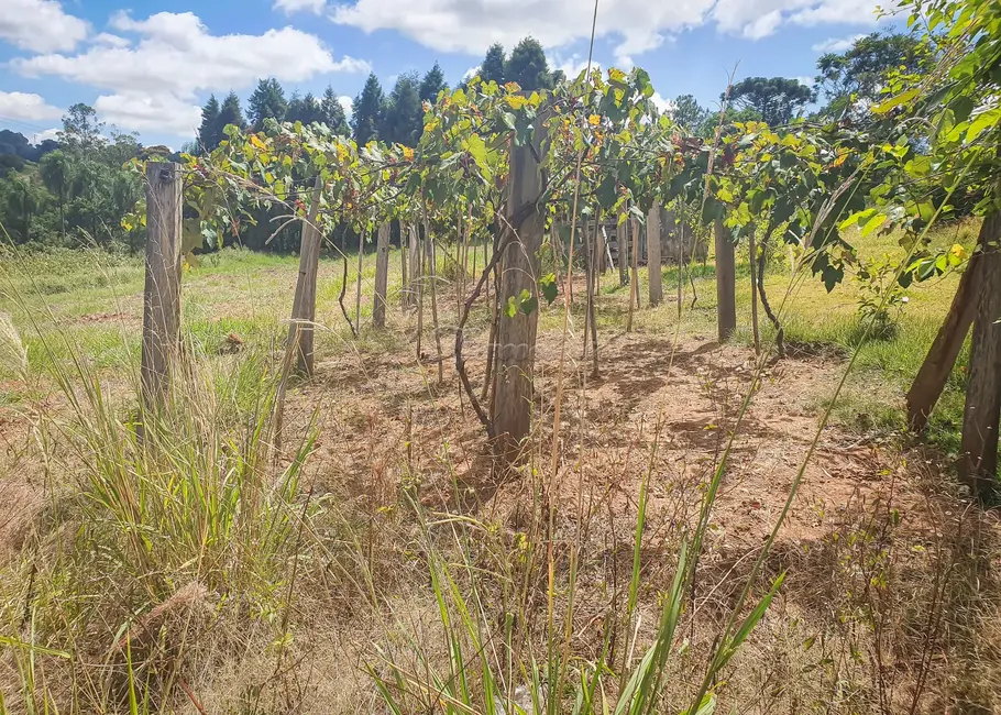 Foto 2 de Fazenda / Haras à venda, 210m2 em Mato Seco, Itapetininga - SP