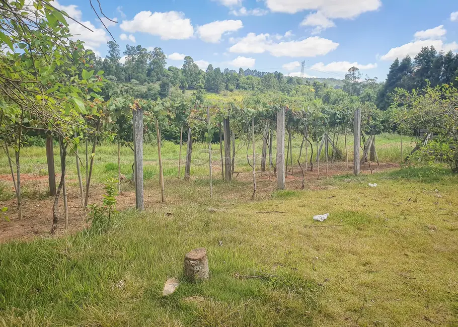 Foto 4 de Fazenda / Haras à venda, 210m2 em Mato Seco, Itapetininga - SP