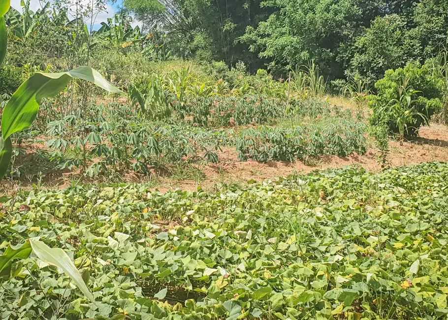 Foto 3 de Fazenda / Haras à venda, 210m2 em Mato Seco, Itapetininga - SP