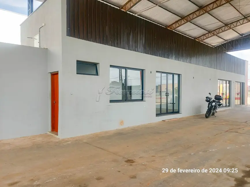 Fazenda / Haras para alugar, 10000m2 em Vila Nova Itapetininga, Itapetininga - SP - imagem 3 Foto 3 de Fazenda / Haras para alugar, 10000m2 em Vila Nova Itapetininga, Itapetininga - SP