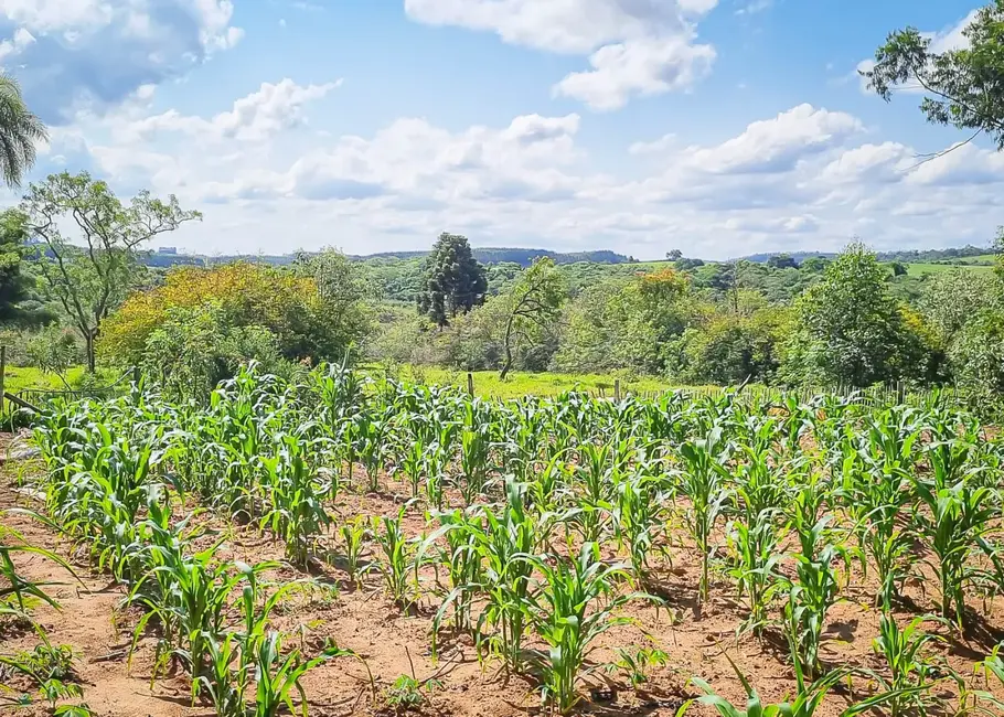 Chácara à venda, 46809m2 em Alambari - SP - imagem 12 Foto 12 de Chácara à venda, 46809m2 em Alambari - SP