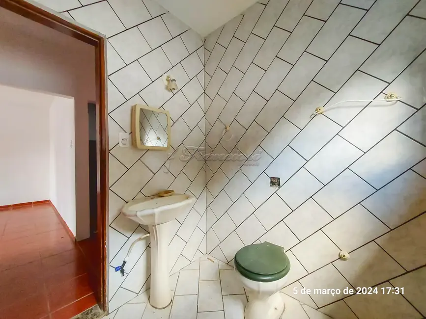 Casa com 3 quartos à venda, 187m2 em Vila Piedade, Itapetininga - SP - imagem 6 Foto 6 de Casa com 3 quartos à venda, 187m2 em Vila Piedade, Itapetininga - SP
