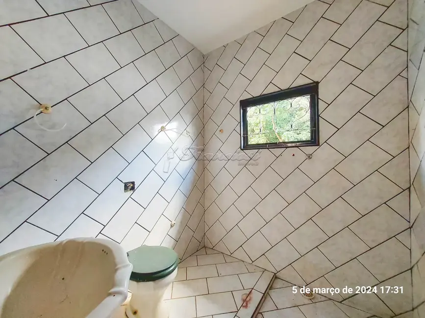 Casa com 3 quartos à venda, 187m2 em Vila Piedade, Itapetininga - SP - imagem 5 Foto 5 de Casa com 3 quartos à venda, 187m2 em Vila Piedade, Itapetininga - SP