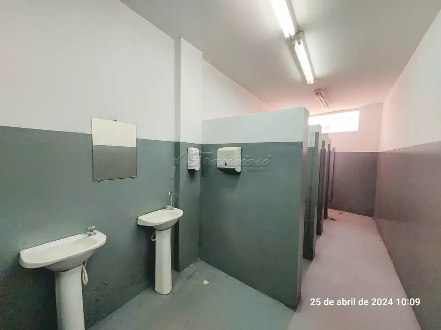 Foto 7 de Sala Comercial para alugar, 587m2 em Jardim Bela Vista, Itapetininga - SP