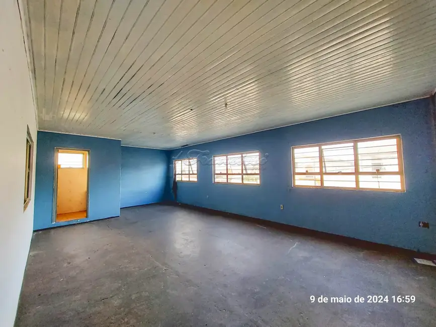 Sala Comercial à venda, 872m2 em Vila Aurora, Itapetininga - SP - imagem 6 Foto 6 de Sala Comercial à venda, 872m2 em Vila Aurora, Itapetininga - SP