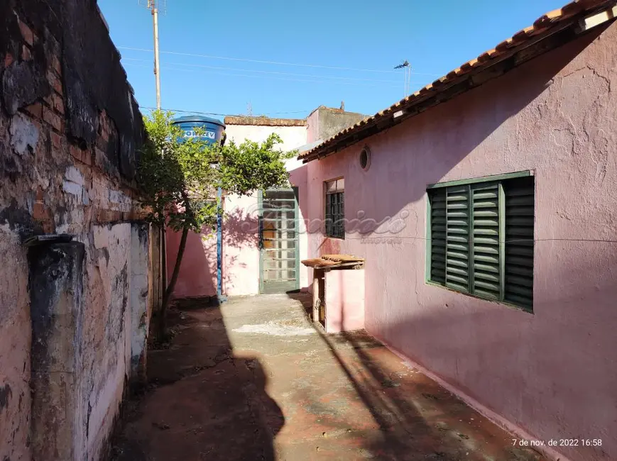 Fazenda / Haras com 2 quartos à venda, 286m2 em Vila Aurora, Itapetininga - SP - imagem 9 Foto 9 de Fazenda / Haras com 2 quartos à venda, 286m2 em Vila Aurora, Itapetininga - SP