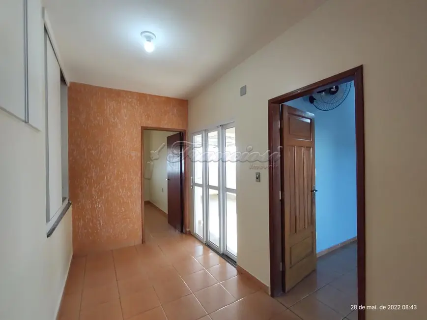 Casa com 3 quartos à venda, 204m2 em Vila Maciel, Itapetininga - SP - imagem 9 Foto 9 de Casa com 3 quartos à venda, 204m2 em Vila Maciel, Itapetininga - SP