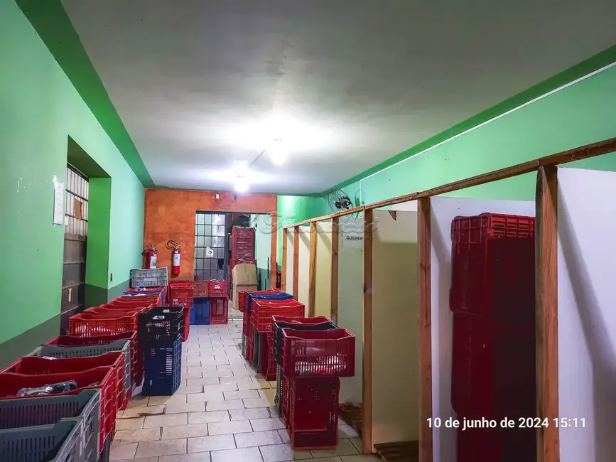 Foto 1 de Sala Comercial para alugar, 236m2 em Itapetininga - SP